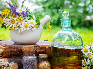 Atelier Fleurs de Bach : Équilibre émotionnel au travail