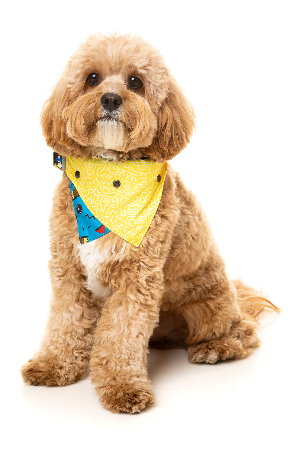Thumbnail: Fuzzyard Kings Of Gold School Bandana