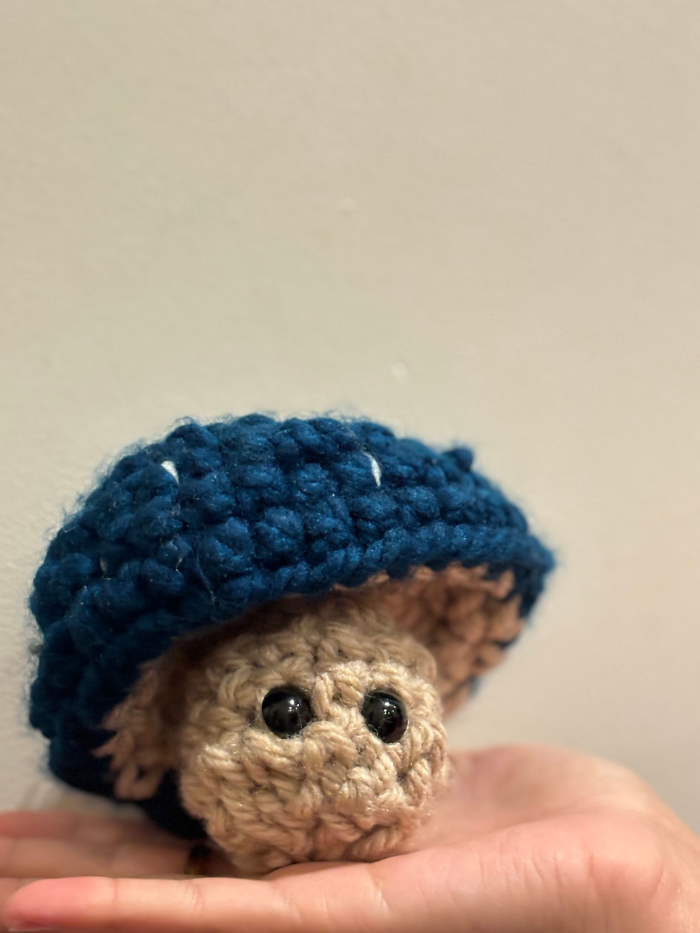 Pop-up Mushroom Crocheted Fidget