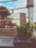 20230712_090344.jpg