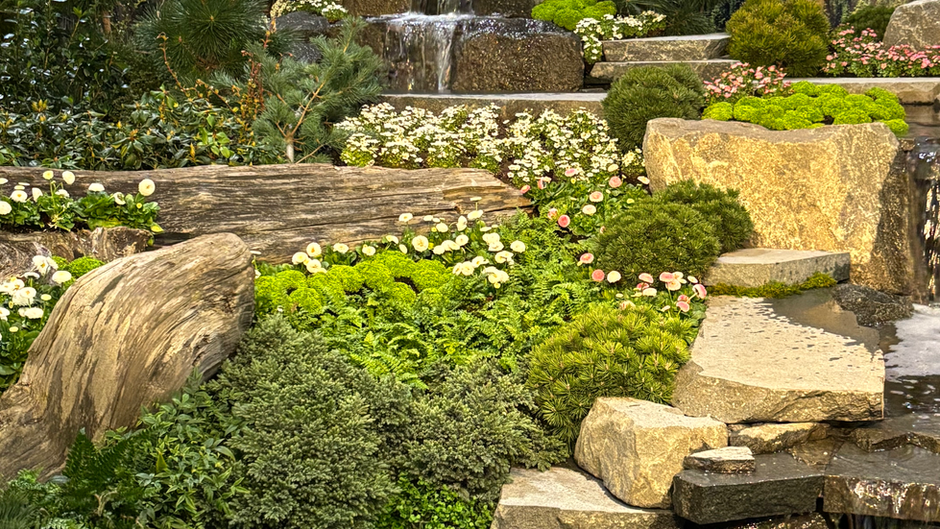 It's Time to “Parade” into Spring this Weekend at the Northwest Flower & Garden Festival