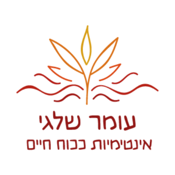 עומר שלגי