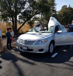 Queda destruido un auto al pasarle la llanta de un trailer