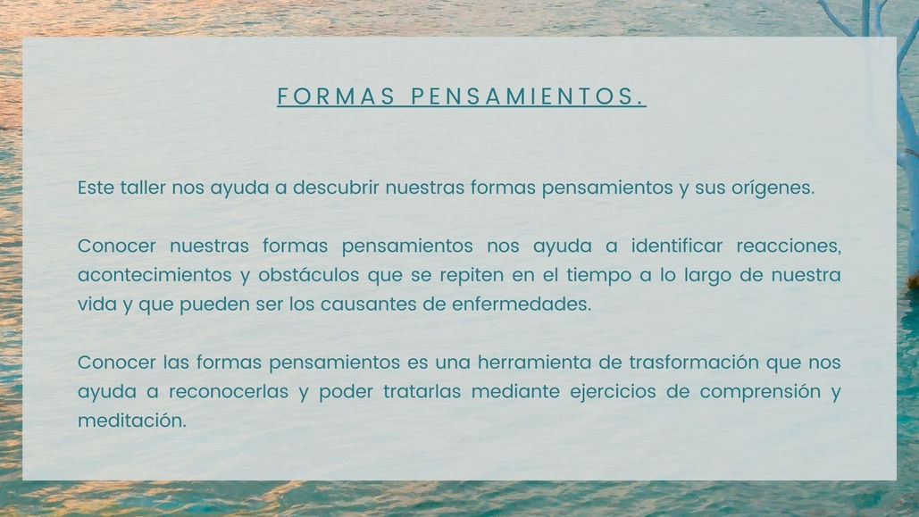 Taller abierto al publico. Puedes asistir si lo deseas sin que ello te obligue a continuar con otro taller o formación.
