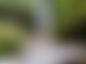 “The Hidden Paradise of Kidapawan: MAWIG (PANIKI) FALLS”