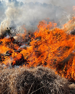 fire_pic.JPG