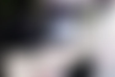 Reimagining Healthcare Sustainability Beyond Carbon Reduction at DHI