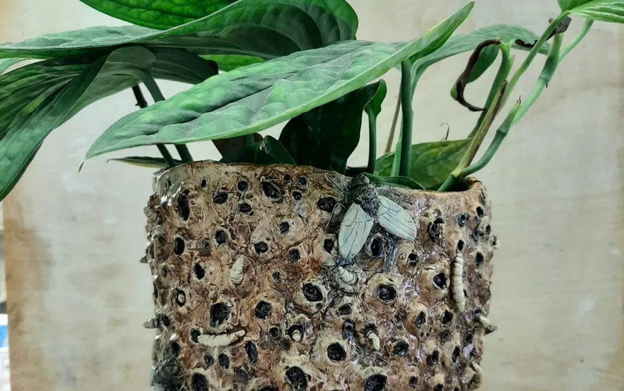 disgusting planter, trypophobia planter, horror planter, weird planter