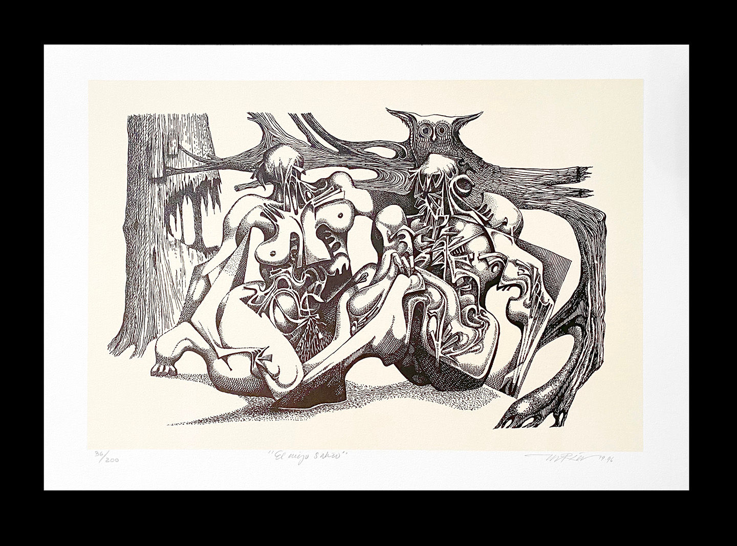 El viejo sabio (1979), 1996 edition