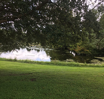 image13.jpeg