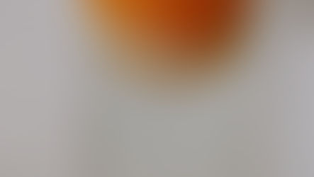 FLUTUABILIDADE DAS LARANJAS