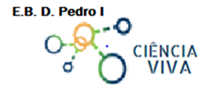 Projeto Ciência Viva 2021 - 2022 Recuperar Experimentando