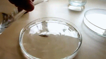 Cristalização de acetato de sódio