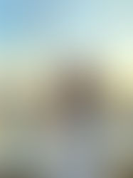 Meet Anna Chellis, our November Leading Woman!