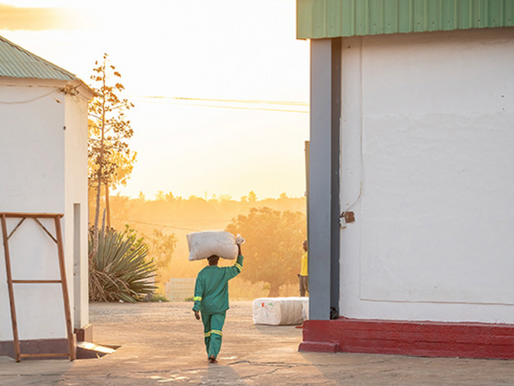 Impacto da SAN-JFS no Relatório Anual 2024 da Aid by Trade Foundation