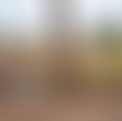 Mapeamento de Solos e Biodiversidade em Moçambique - Reforçando a Gestão Sustentável da Terra