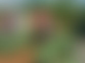 Strengthening Climate Resilience in Mozambique’s Cotton Sector