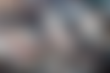 NUTRIMO Aquaculture Project | CESAM | Aveiro University