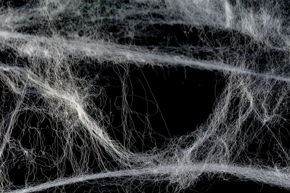 Thumbnail: Urban Rhino Photoshop Overlays - Spider Web Overlays