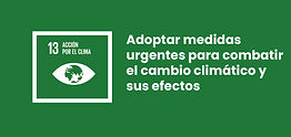 sdg 13 grande es.jpg