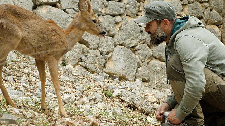 CAPRIOLO.jpeg