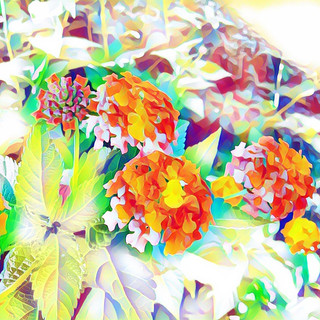 IMG_0627.JPEG