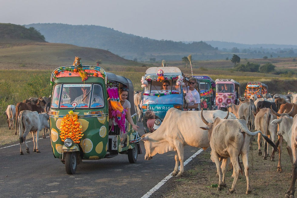 Elephant Family tuk tuks