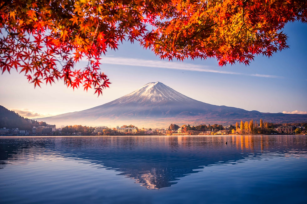 AdobeStock_350042502.jpeg