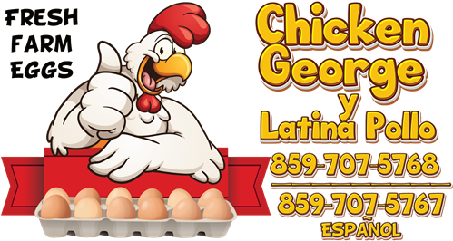 HOME | Chicken George