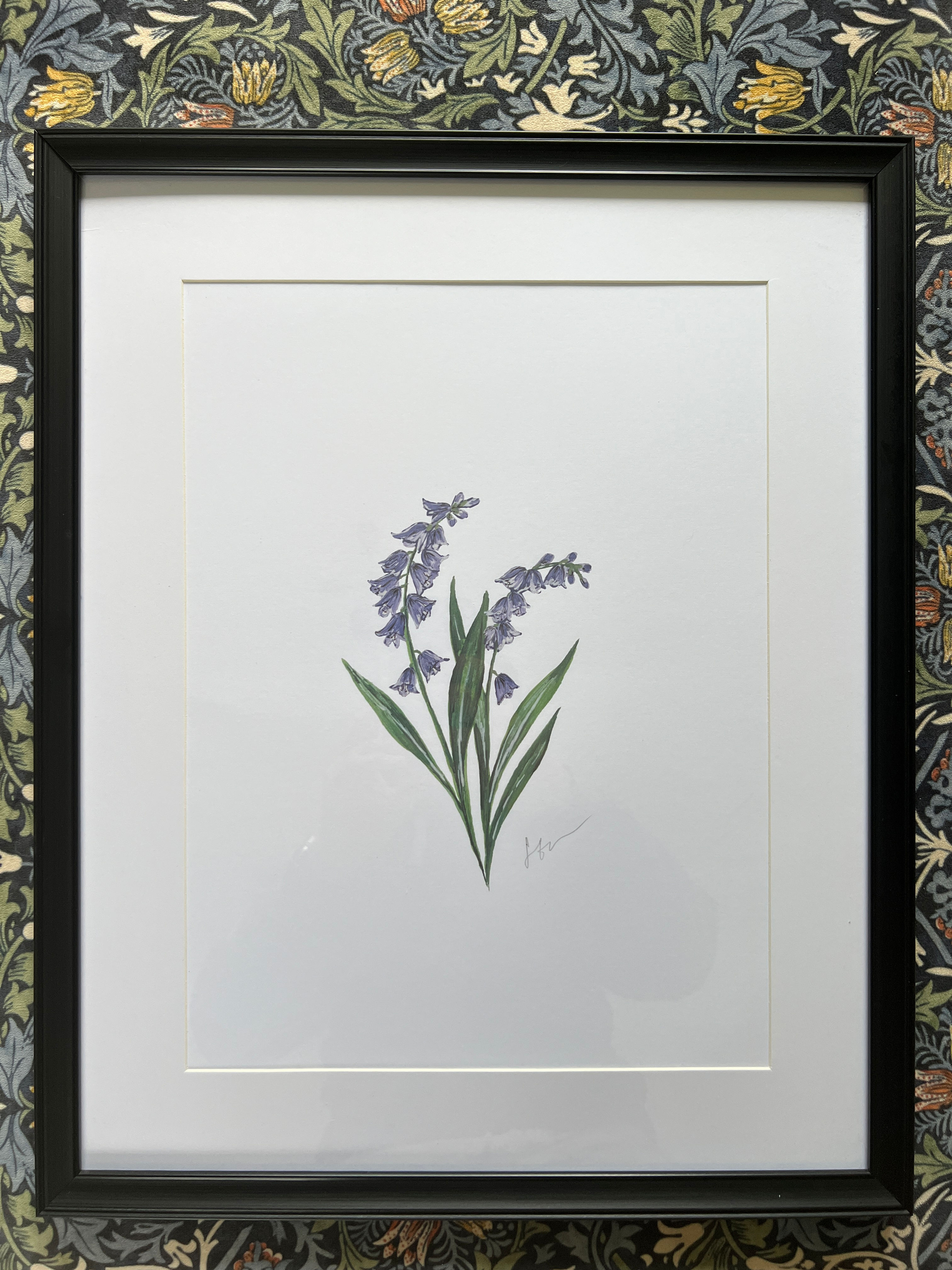 Bluebell Print