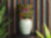 Savage Garden Table_edited.jpg