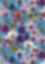 Orchid Daydream smaller .jpg