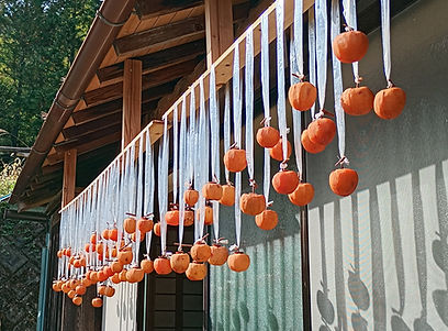 軒先に吊るした干し柿.jpg