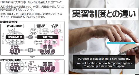 実習制度との違い.png