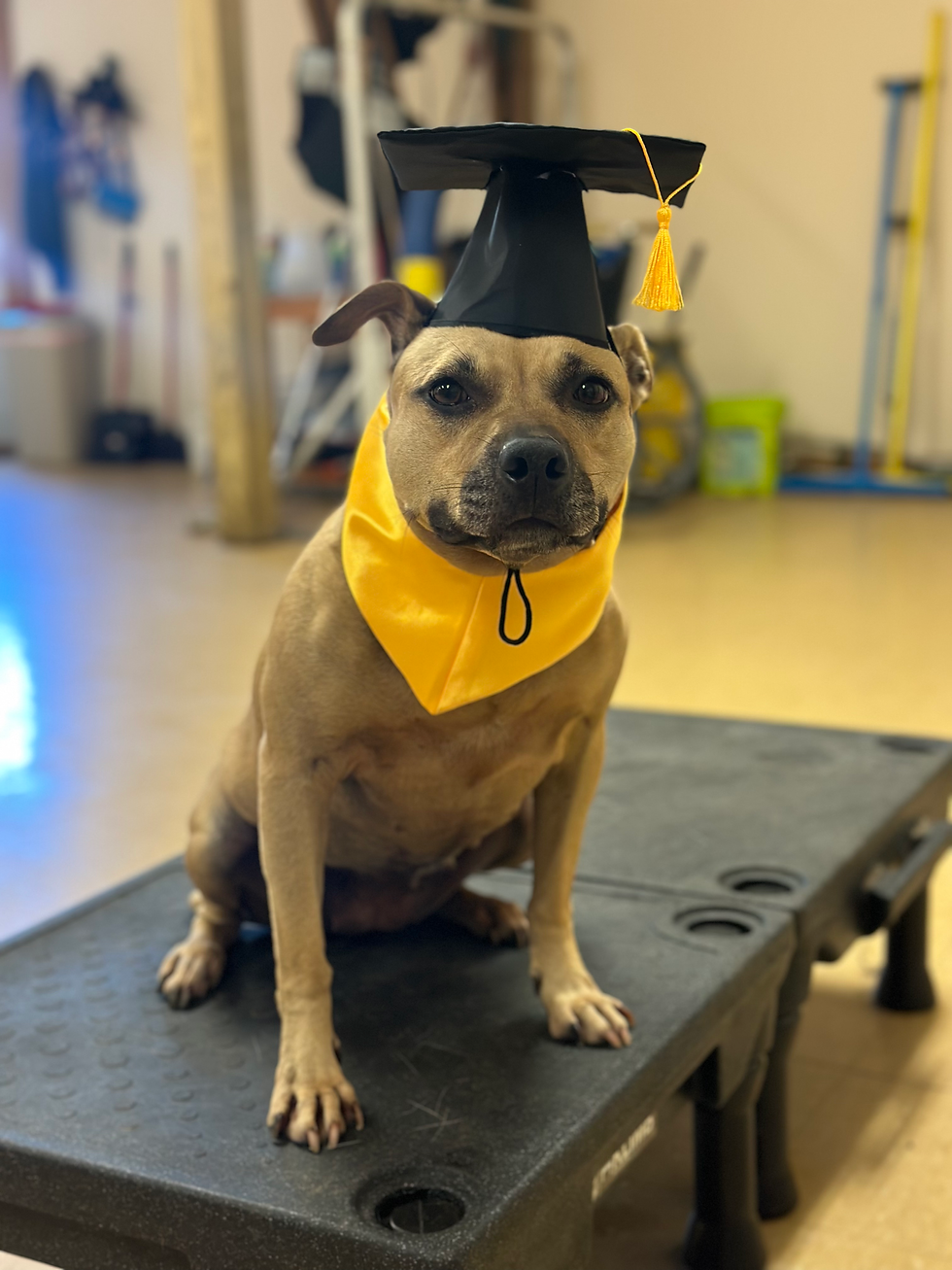 Mavis Graduating Training School