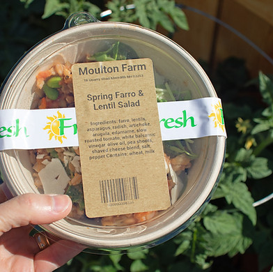 farm kitchen spring farro and lentil salad.jpg