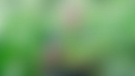 Jeff's farm update: We've started picking corn!