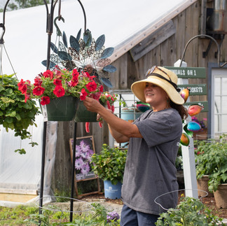 Woman in hat tending to a hanging basket of red flowers in our garden center