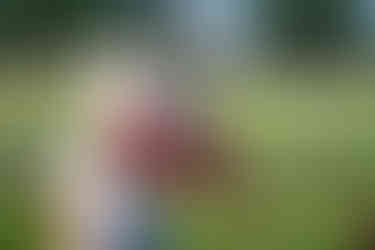 woman caring bundle of freshly cut flowers from cutting garden at Moulton Farm