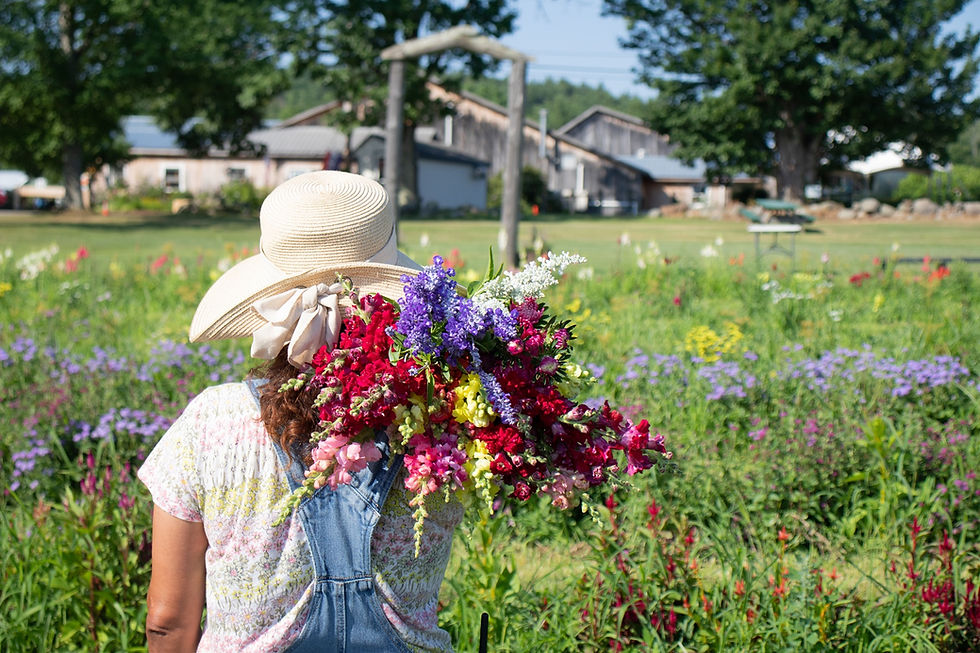 Pick flowers in our "pick your own" cutting garden!