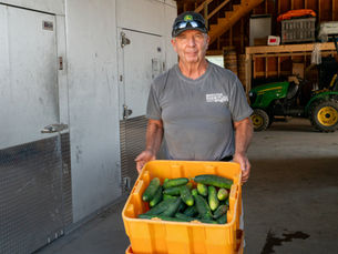 John Moulton holding a bin of freshly picked cucumbers in a barn at Moulton Farm