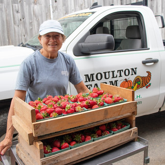 Woman from Moulton Farm field crew moving trays of freshly picked strawberries from truck into Moulton Farm's market