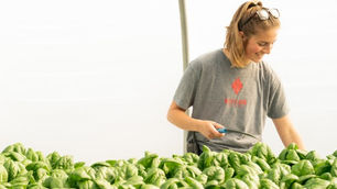 Jeff's farm update: More signs of spring at our farm