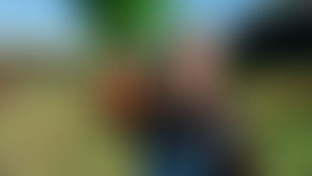 Jeff's Farm Update: Harvest specials and farm kitchen update