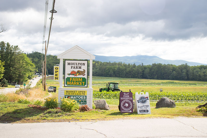 farm sign new white tomatoes sals cider bellies midrange.jpg