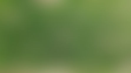 Why is ice cream the theme of our 2023 corn maze?