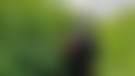 Jeff's Farm Update: Good news from our fields and greenhouses!