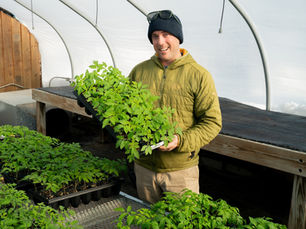 Kyle holding tomato seedlings now ready to be planted in Moulton Farm's tomato house.