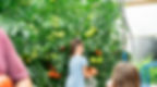 little sprouts 4.jpg