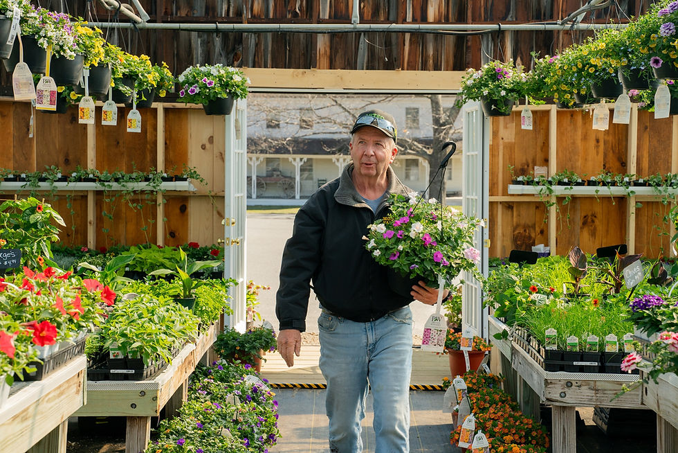 Man walking through a greenhouse filled with flowers and hanging baskets